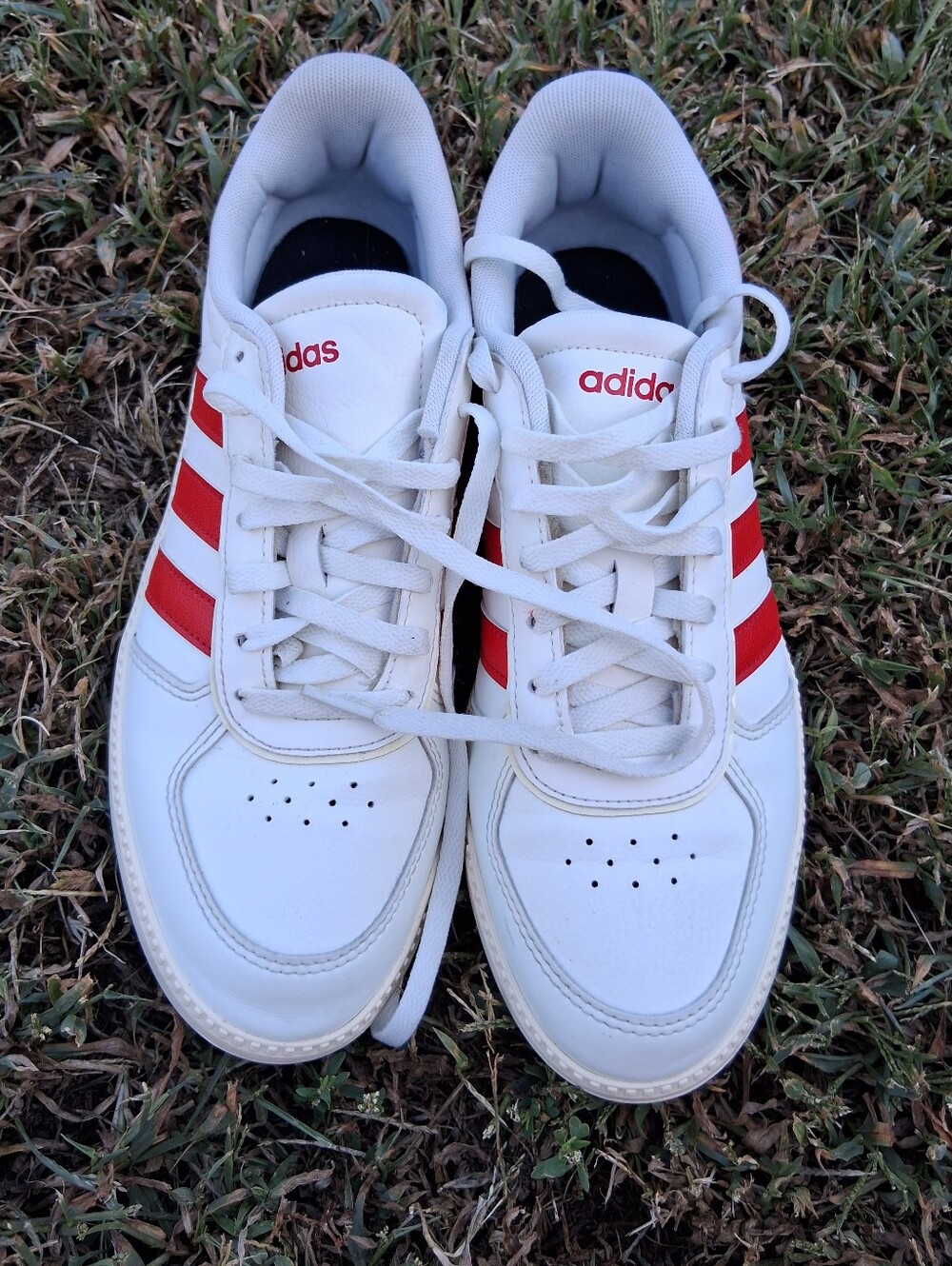 Brand New Adidas Sneakers